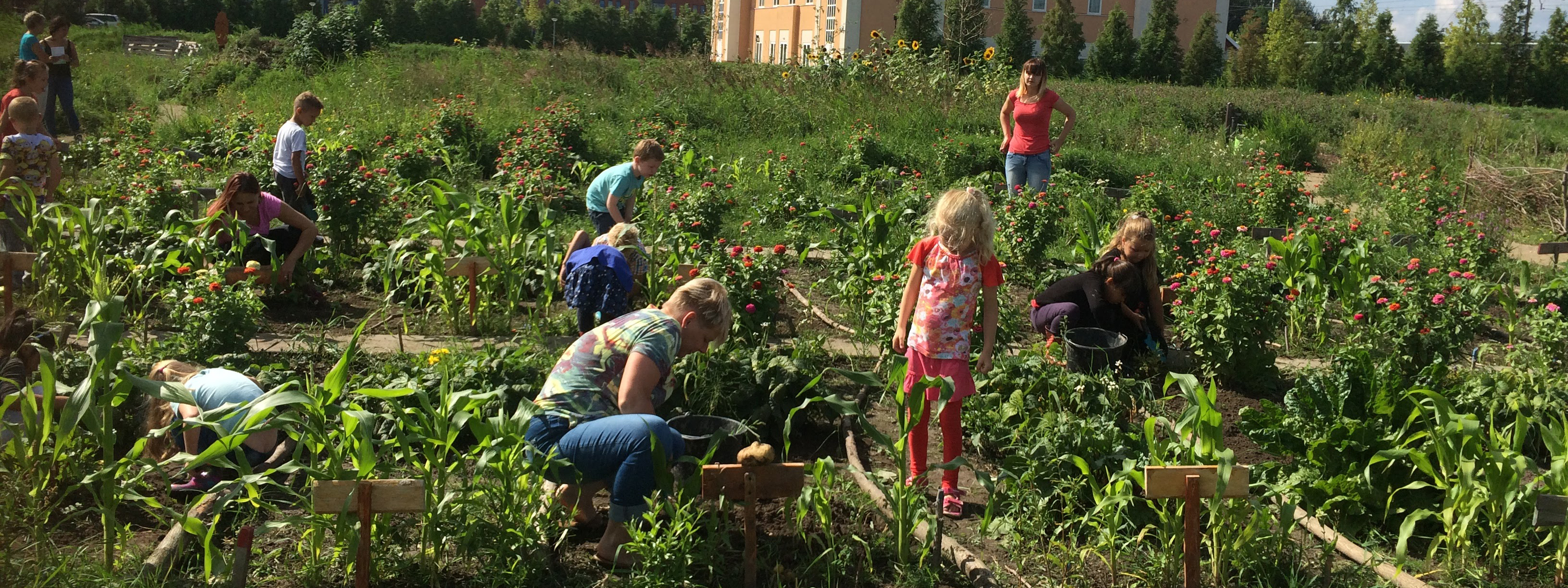 Schooltuinen Header
